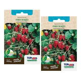 Sementes P Mudas Morango Ornamental Silvestre 2 Envelopes