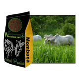 Sementes Panicum Maximum Capim Mombaça 240kg Frete Grátis