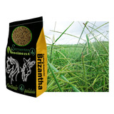 Sementes Pastagem 1kg Brachiaria Brizantha Marandu Brizantão