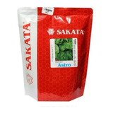 Sementes Rúcula Astro 500g Sakata