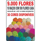 Sempre Viva 9 000 Flores Desidratadas Arranjos Casamento