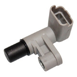 Sensor De Fase Macho 3 Terminais Euro 80222