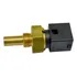 Sensor Temperatura Fh12 13 Pettenuzzo 1624361