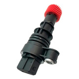 Dentes