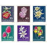 Série Completa Selo 2682 687 Romênia 1972 Flores Em Extinção