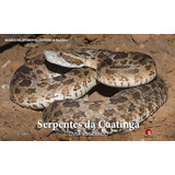 Serpentes Da Caatinga Guia