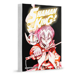 Shaman King Big