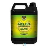Shampoo 1 400 Melon Concentrado 5l Neutro Easytech Automotiv