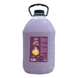 Shampoo 3 Em 1 Para Cães Gatos Banho Tosa Pet Clean 5 Litros
