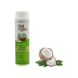 Shampoo Oleo De Coco