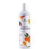 Shampoo Aloe Frutas Noni