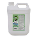 Shampoo Aloe Vera 5l