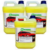 Shampoo Automotivo Carnaúba Com Cera Carro E Moto 5 L