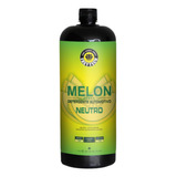 Shampoo Automotivo Melon Neutro 1 400