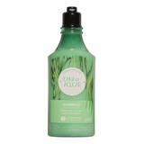 Shampoo Cabeleira Lisa Cana