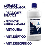 Shampoo E Condicionador Dugs Clorexidina 500ml Antiqueda