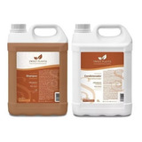 5l