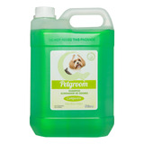 Shampoo Eliminador Odores limpeza