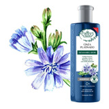 Shampoo Flores E Vegetais Matizante Platinado   310ml