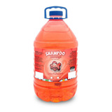 Morango