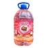 Shampoo Natural Para Cães E Gatos Catdog 5 Litros