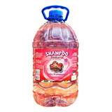 Shampoo Natural Para Cães E Gatos Catdog 5 Litros