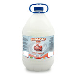 Shampoo Para Cachorro E Gato Coco 5 Litros Banho E Tosa Pet