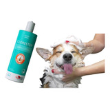 Shampoo Para Cães E Gatos Agener União Cloresten 500ml