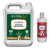 Shampoo Pet Antifúngico Cães Gatos 5lt Creme 3x1 Restaurador