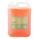 Shampoo Pra Cachorro Sem Sal Neem E Erva Pet Family 5 Litros Fragrância Alecrim Tom De Pelagem Recomendado