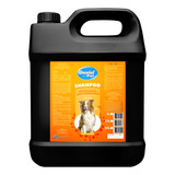 5l