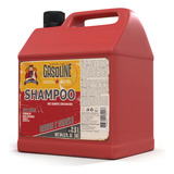 5l