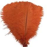 Shekyeon Plumas De Penas De Avestruz 35 A 40 Cm Para Decoração De Mesa Pacote Com 10 Laranja 