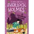 Sherlock Holmes Ilustrado - O Enigma De Reigate, De Doyle, An. Editorial Ciranda Cultural, Tapa Mole, Edición 1 En Português, 2023
