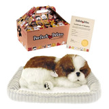 Shih tzu De Pelucia
