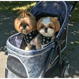 Shih Tzu Os Mais