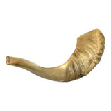 Shofar Chifre De Carneiro De Tocar 29 A 33 Cm De Israel
