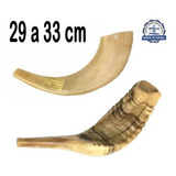 Shofar Chifre De Carneiro De Tocar 29 A 33 Cm De Israel