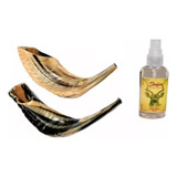 Shofar Chifre De Carneiro De Tocar 29 A 33 Cm De Israel