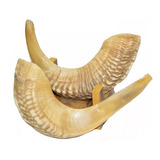 Shofar Chifre De Carneiro De Tocar