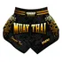 Short Muaythai Dragon Thai Dourado Unissex Curto