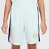 Shorts Nike Dri-fit Cr7 Academy 23 Infantil