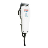 220v