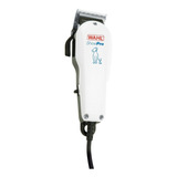 Wahl