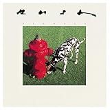Signals -Disco De Vinil-