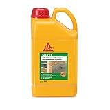 6L