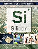 Silicon 10  