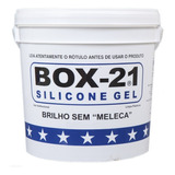 Silicone Automotivo Box 21 3 6kg