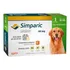 Simparic Zoetis Cachorro 20 1 Kg 40 Kg 1 Uni