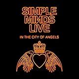 Simple Minds Live In